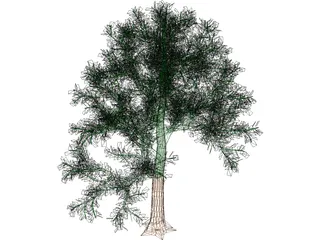 Tree 3D Model preview