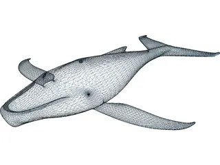 Whale Funny 3D Model preview