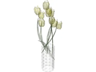 Tulips In Vase 3D Model preview