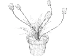 Dandelion 3D Model preview