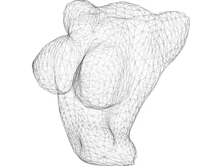 Torso Female Busty 3D Model preview