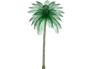 Palm Tree 3D Model preview