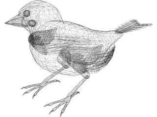 Black Bird 3D Model preview