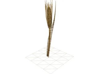 Dried Barley 3D Model preview