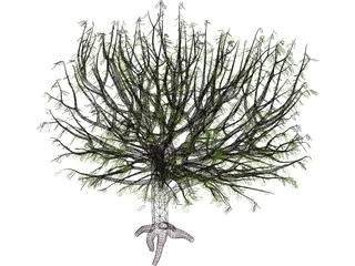 Tree 3D Model preview
