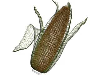 Corn 3D Model preview