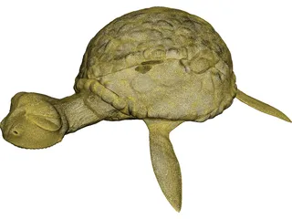 Cartoon Turtle 3D Model preview