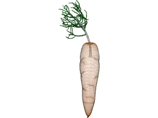 Carrot 3D Model preview