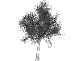 Tree 3D Model preview
