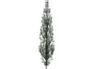 Pine Tree 3D Model preview