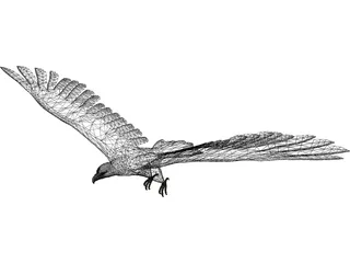 Eagle 3D Model preview