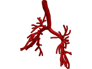 Bronchial Tree Human 3D Model preview