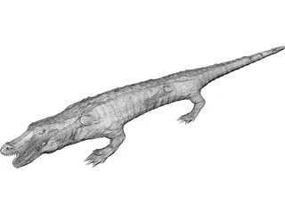Crocodile 3D Model preview