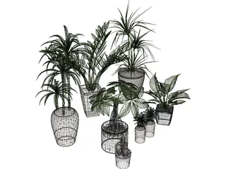 House Plant Collection 3D Model preview