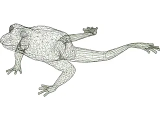 Frog 3D Model preview