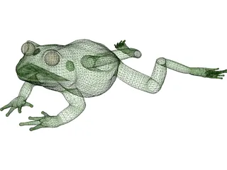Frog 3D Model preview