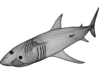 Shark White 3D Model preview