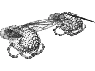 Fly 3D Model preview