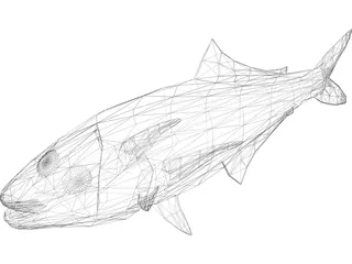 Full Fish 3D Model preview
