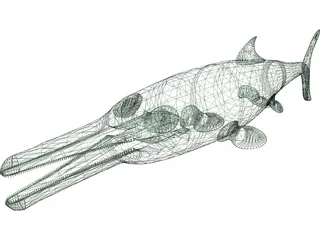 Ictiosaurus 3D Model preview
