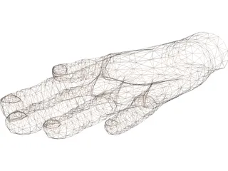 Hand 3D Model preview