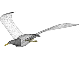 Seagull Flying 3D Model preview