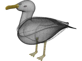 Seagull Standing 3D Model preview