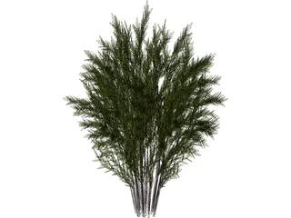 Nandina [Phyllostachys] 3D Model preview