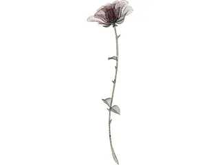 Red Rose 3D Model preview