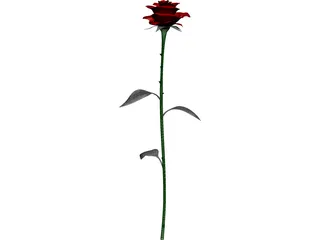 Rose 3D Model preview