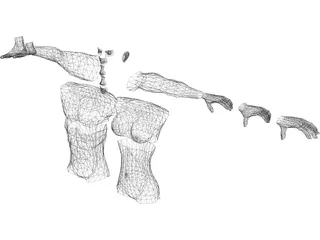 Modular Body Parts 3D Model preview