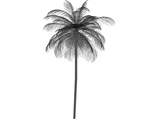 Palm Tree Caribean 3D Model preview