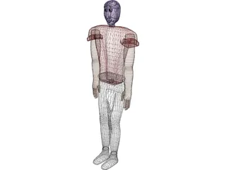 Cartoon Man 3D Model preview