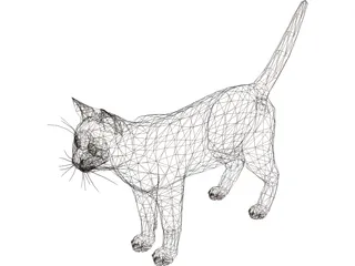 Cat 3D Model preview