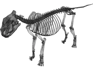 Lion Skeleton 3D Model preview