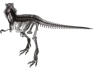 Dinosaur Skeleton 3D Model preview