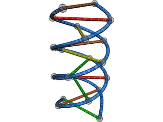 DNA Strand 3D Model preview