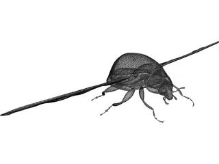 Ladybug 3D Model preview