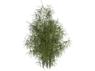 Bamboo Cluster Small 3D Model preview