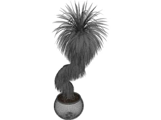 Bonsai Tree 3D Model preview