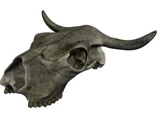Cow Skull 3D Model preview