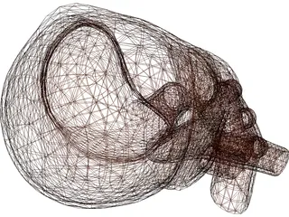 Human Heart 3D Model preview