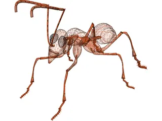 Ant 3D Model preview