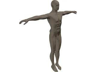 Man 3D Model preview