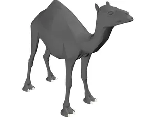 Dromedary 3D Model preview
