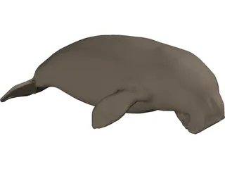 Dudongo 3D Model preview