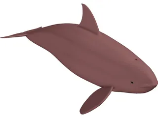 Whale Killer Female 3D Model preview