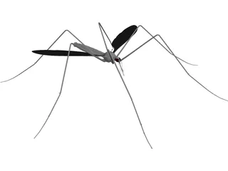 Mosquito 3D Model preview