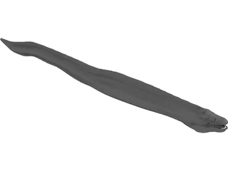 Muraena 3D Model preview