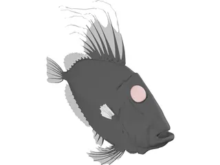 San Peters Fish 3D Model preview